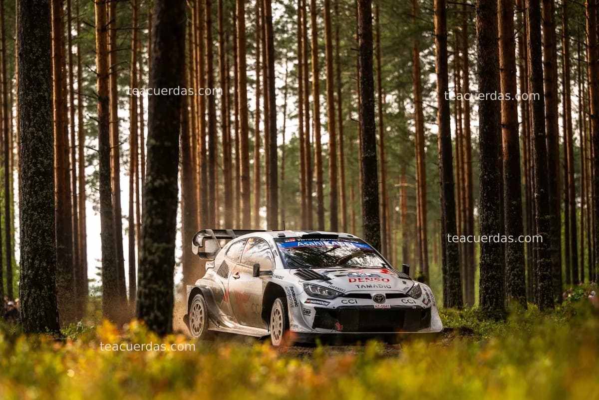 Un Pinchazo No Afecta la Aspiración de Título de Kalle Rovanperä en el WRC