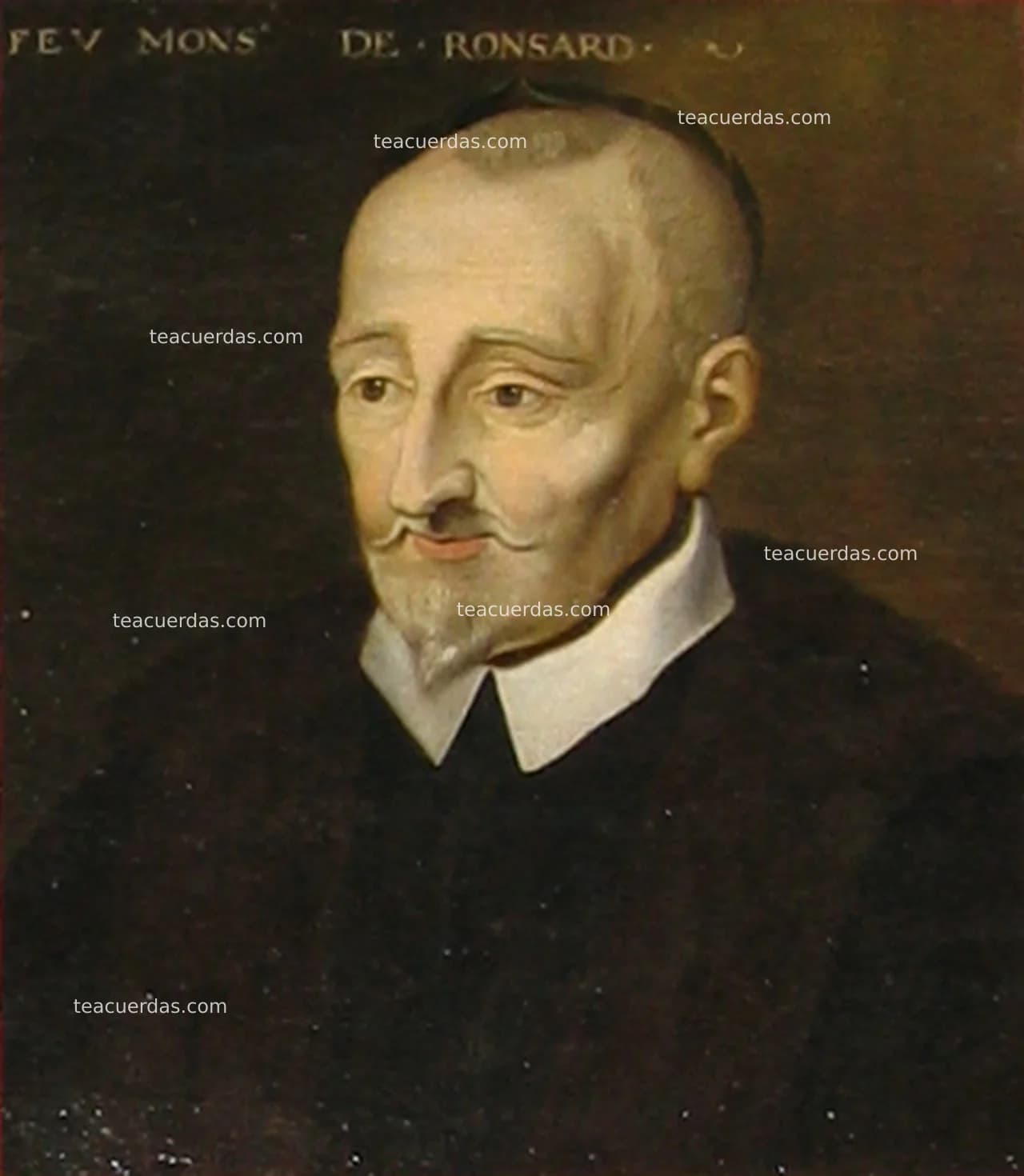 La Vida y Obra de Pierre de Ronsard: Un Viaje por la Poesía del Renacimiento Francés