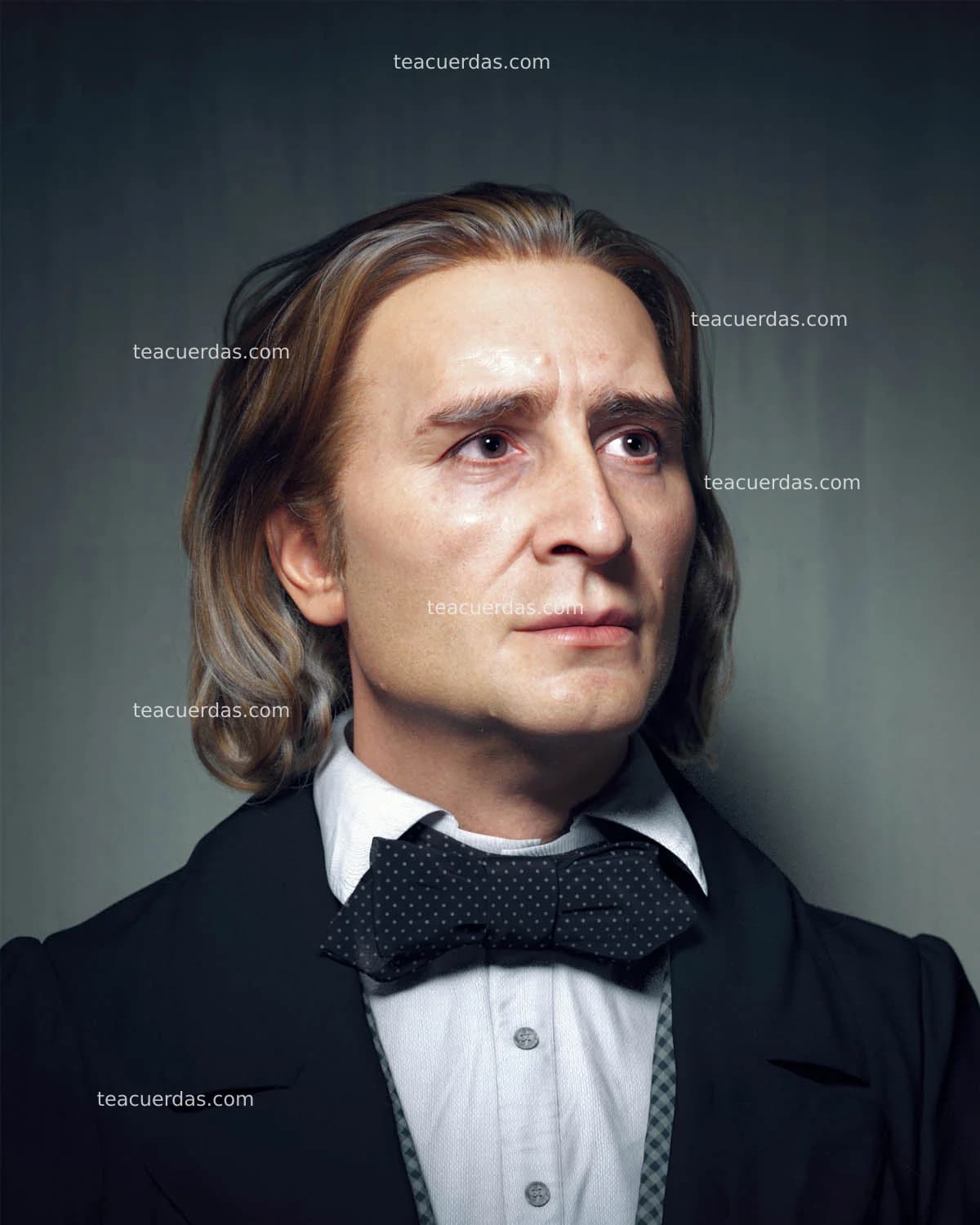 Franz Liszt: Vida, Obra y Legado del Maestro del Piano